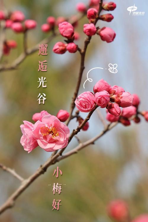 棋盘山游玩攻略大全最新,棋盘山旅游景点攻略-第2张图片-诗丽旅游网 棋盘山游玩攻略大全最新,棋盘山旅游景点攻略-第2张图片-诗丽旅游网