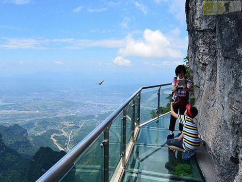 新余旅游景点大全免费一日游,新余旅游景区-第4张图片-诗丽旅游网 新余旅游景点大全免费一日游,新余旅游景区-第4张图片-诗丽旅游网