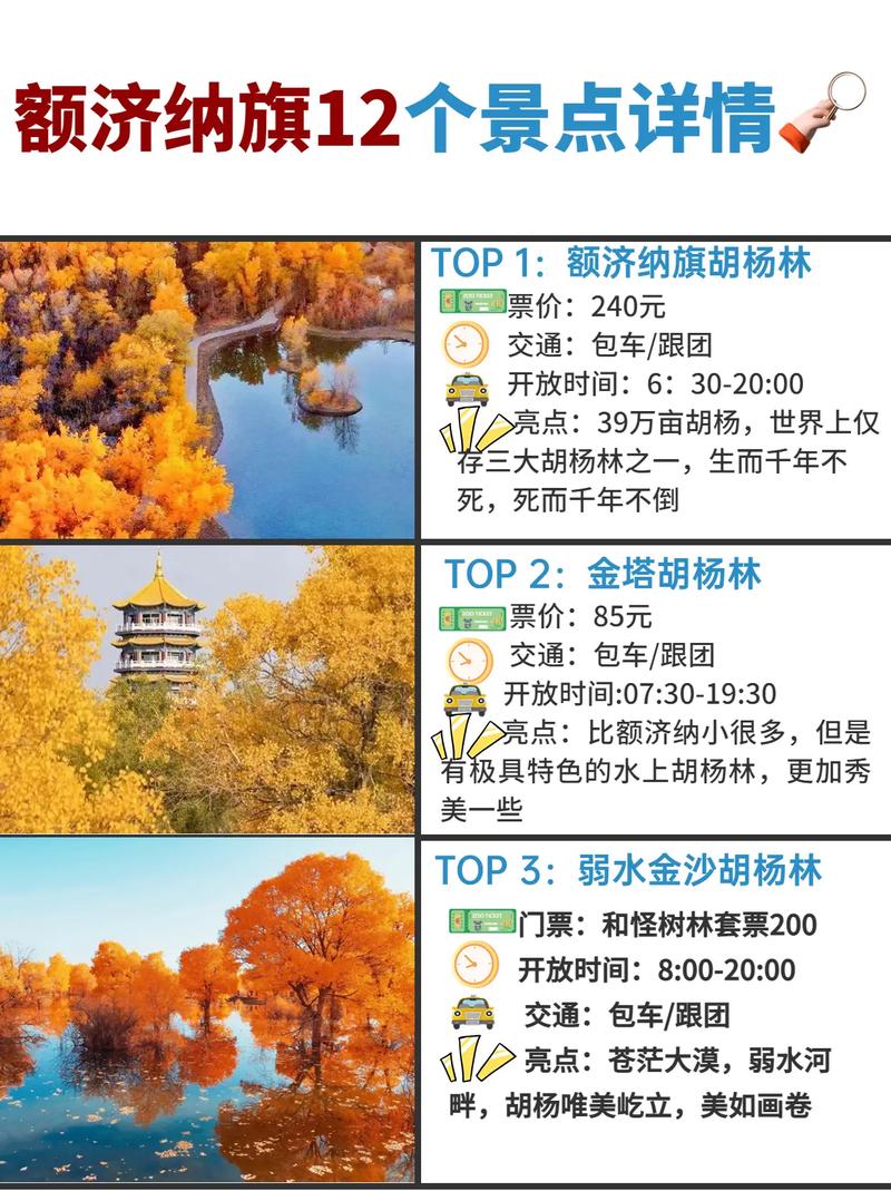 额济纳旗旅游攻略必玩的景点,额济纳旗旅游景区-第4张图片-诗丽旅游网 额济纳旗旅游攻略必玩的景点,额济纳旗旅游景区-第4张图片-诗丽旅游网