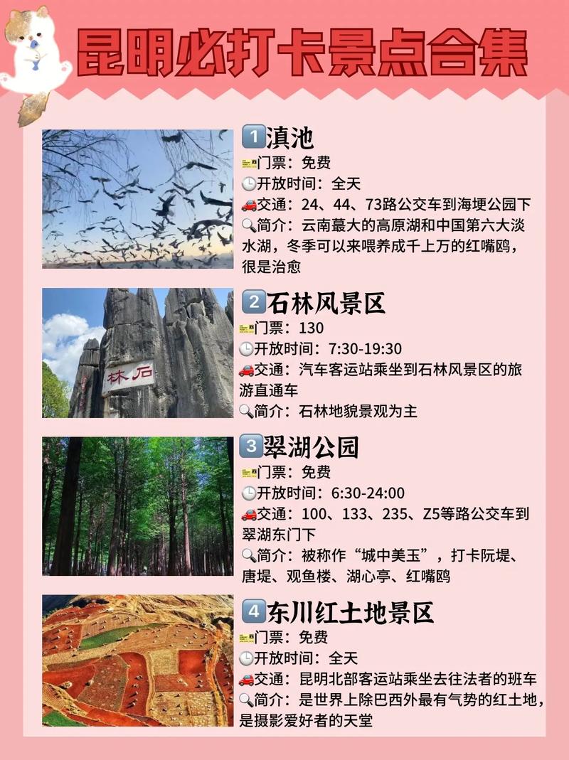 昆明旅游景点攻略自由行一日游路线推荐,昆明旅游攻略 自助游-第4张图片-诗丽旅游网 昆明旅游景点攻略自由行一日游路线推荐,昆明旅游攻略 自助游-第4张图片-诗丽旅游网