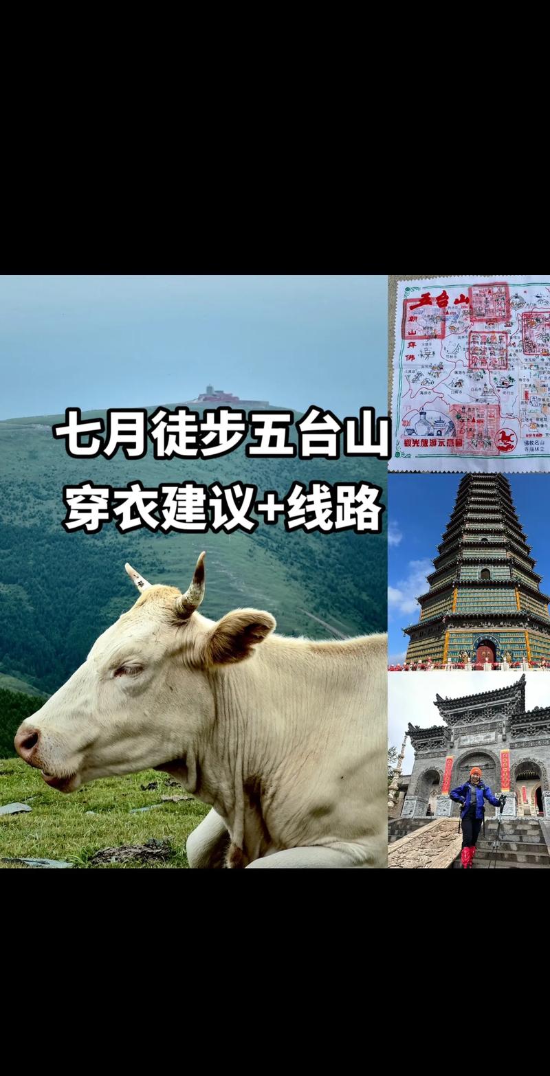 五台山游览攻略,五台山游览攻略详细?-第5张图片-诗丽旅游网 五台山游览攻略,五台山游览攻略详细?-第5张图片-诗丽旅游网
