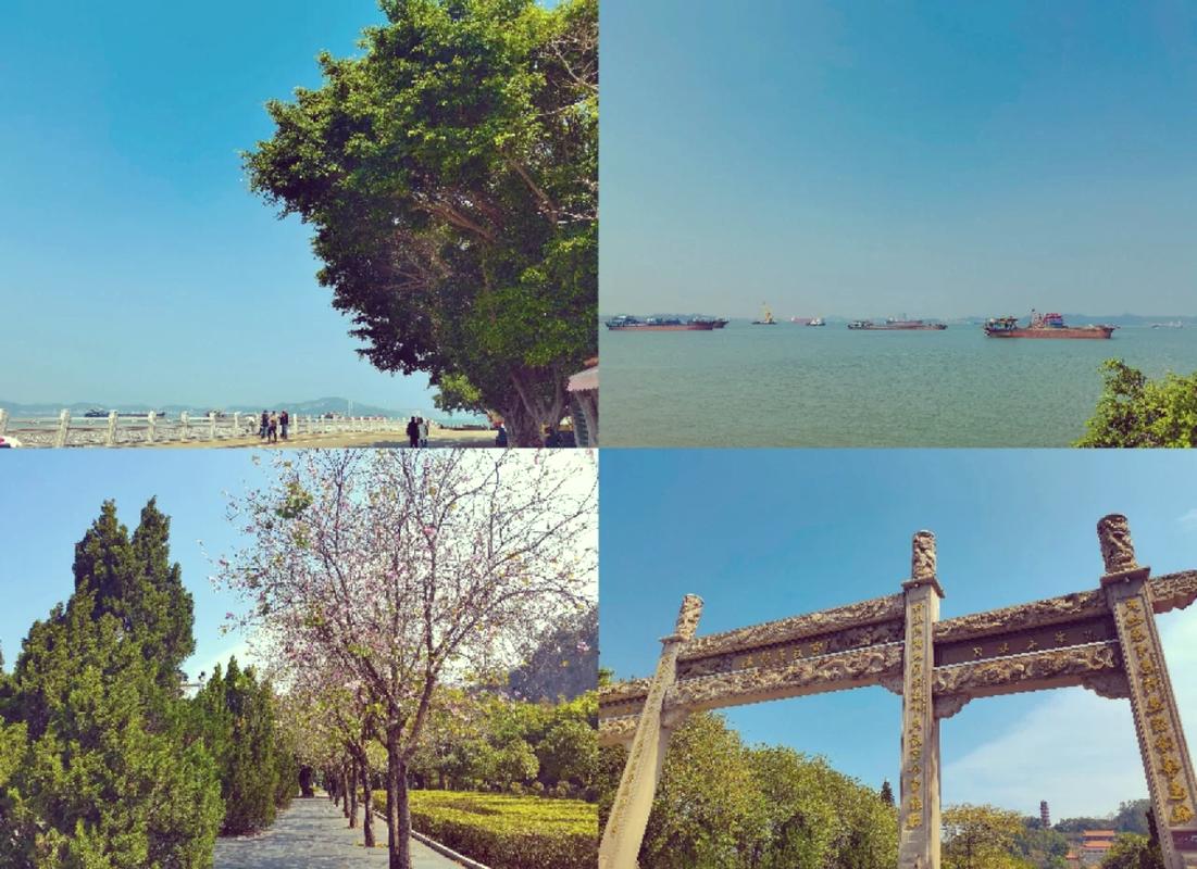 南沙23路旅游车路线?南沙20路?-第3张图片-诗丽旅游网 南沙23路旅游车路线?南沙20路?-第3张图片-诗丽旅游网