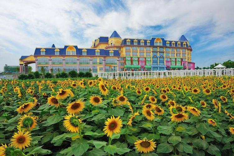南沙23路旅游车路线?南沙20路?-第6张图片-诗丽旅游网 南沙23路旅游车路线?南沙20路?-第6张图片-诗丽旅游网