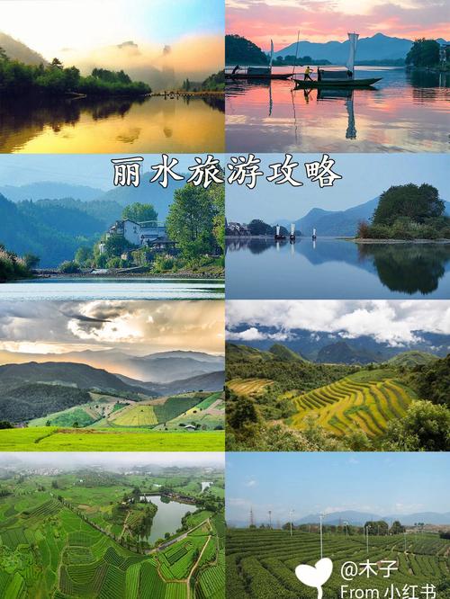 丽水旅游攻略二日游?丽水旅游攻略二日游景点?-第2张图片-诗丽旅游网 丽水旅游攻略二日游?丽水旅游攻略二日游景点?-第2张图片-诗丽旅游网