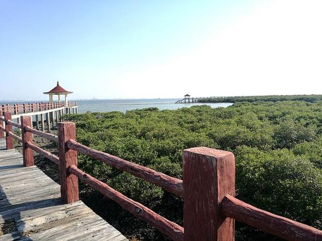 湛江旅游景点大全介绍,湛江旅游景点大全介绍排名-第2张图片-诗丽旅游网 湛江旅游景点大全介绍,湛江旅游景点大全介绍排名-第2张图片-诗丽旅游网