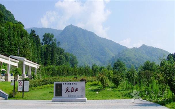 天目山景区游玩攻略路线?天目山风景区旅游攻略?-第4张图片-诗丽旅游网 天目山景区游玩攻略路线?天目山风景区旅游攻略?-第4张图片-诗丽旅游网