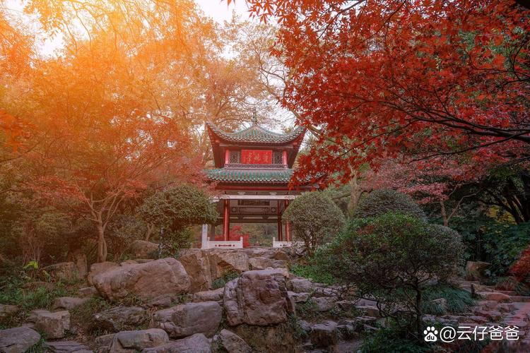 南京旅游景点大全攻略,南京旅游景点大全介绍-第6张图片-诗丽旅游网 南京旅游景点大全攻略,南京旅游景点大全介绍-第6张图片-诗丽旅游网