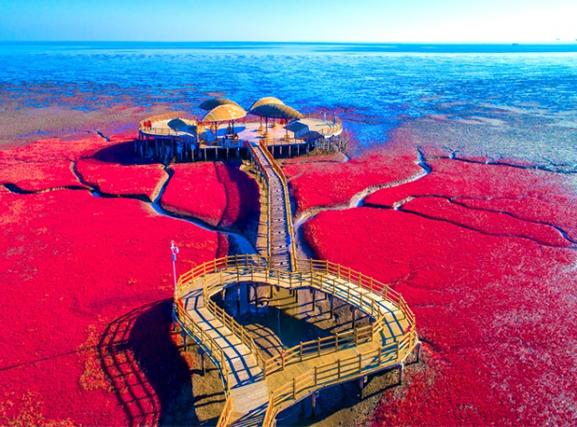 盘锦旅游景点攻略?盘锦旅游的景点?-第1张图片-诗丽旅游网 盘锦旅游景点攻略?盘锦旅游的景点?-第1张图片-诗丽旅游网