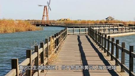 东营旅游攻略必去景点有哪些,东营旅游攻略 必玩的景点推荐?-第5张图片-诗丽旅游网 东营旅游攻略必去景点有哪些,东营旅游攻略 必玩的景点推荐?-第5张图片-诗丽旅游网
