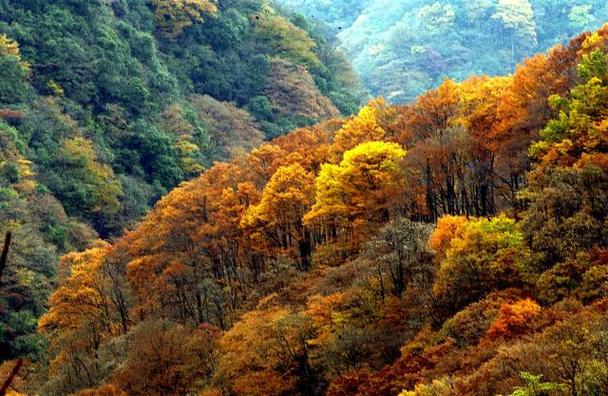 巴音郭楞自治州有哪些旅游景点?巴音郭楞蒙古自治州的旅游景点?-第5张图片-诗丽旅游网 巴音郭楞自治州有哪些旅游景点?巴音郭楞蒙古自治州的旅游景点?-第5张图片-诗丽旅游网
