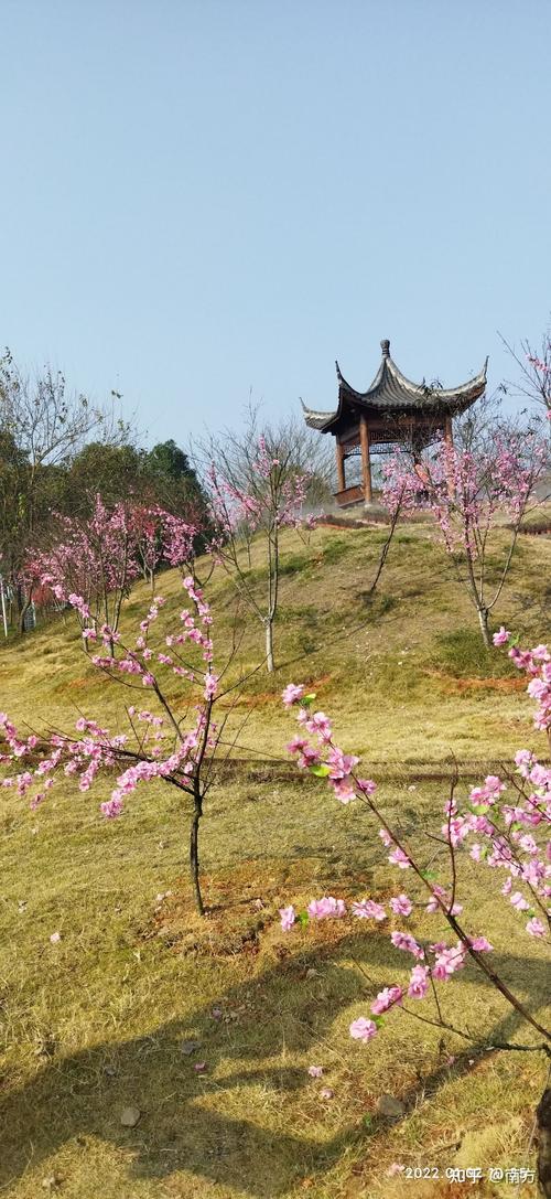 桃花岛旅游攻略有什么景区好玩?桃花岛旅游攻略有什么景区好玩的地方?-第2张图片-诗丽旅游网 桃花岛旅游攻略有什么景区好玩?桃花岛旅游攻略有什么景区好玩的地方?-第2张图片-诗丽旅游网