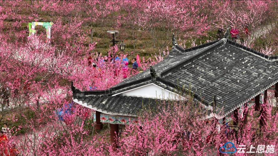 桃花岛旅游攻略有什么景区好玩?桃花岛旅游攻略有什么景区好玩的地方?-第5张图片-诗丽旅游网 桃花岛旅游攻略有什么景区好玩?桃花岛旅游攻略有什么景区好玩的地方?-第5张图片-诗丽旅游网