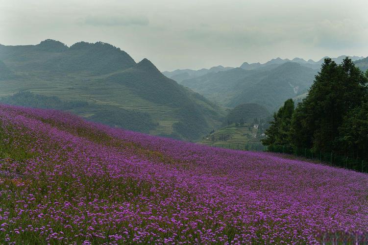 六盘水主要景区景点,六盘水景区景点介绍词?-第3张图片-诗丽旅游网 六盘水主要景区景点,六盘水景区景点介绍词?-第3张图片-诗丽旅游网