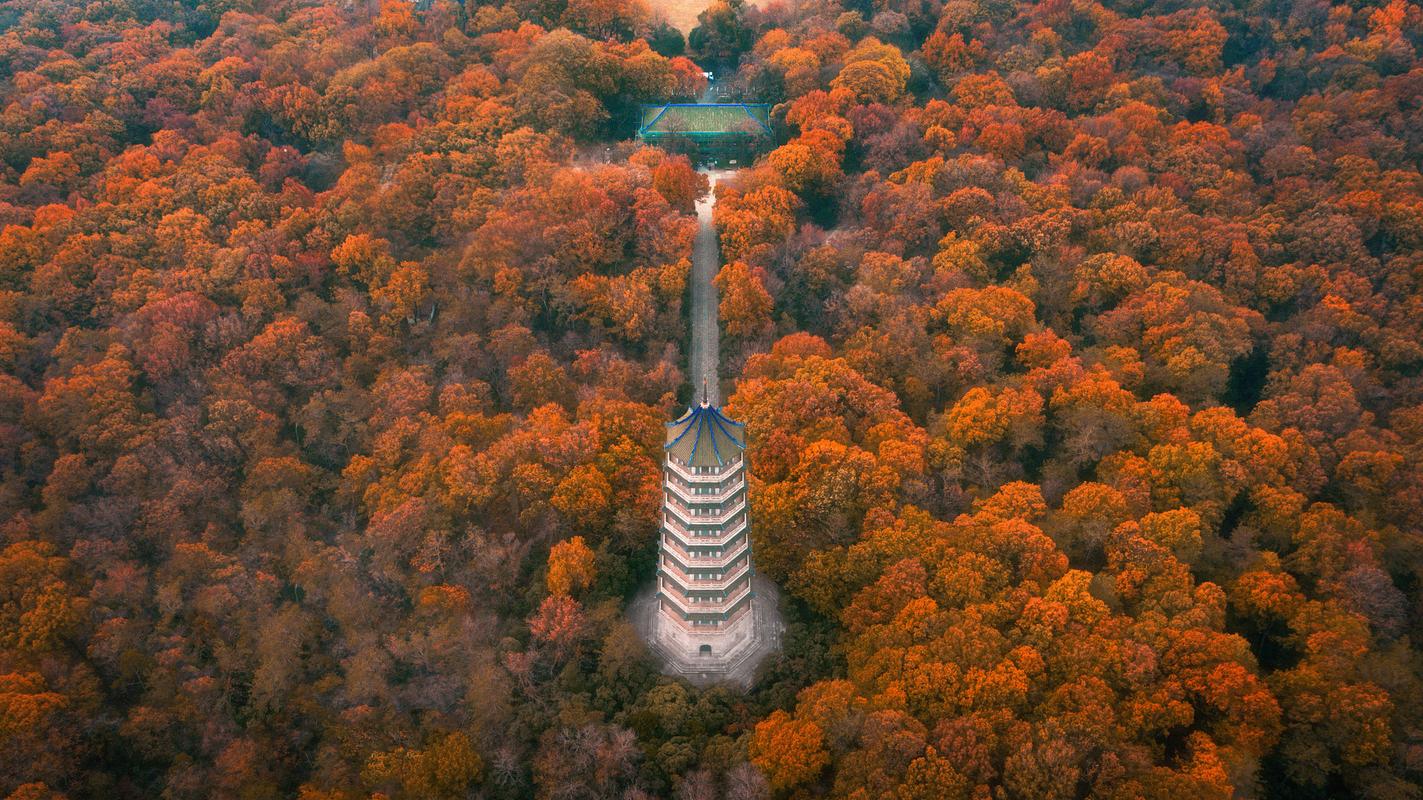 南京旅游景点大全免费路线攻略,南京旅游景点大全及门票费用-第4张图片-诗丽旅游网 南京旅游景点大全免费路线攻略,南京旅游景点大全及门票费用-第4张图片-诗丽旅游网
