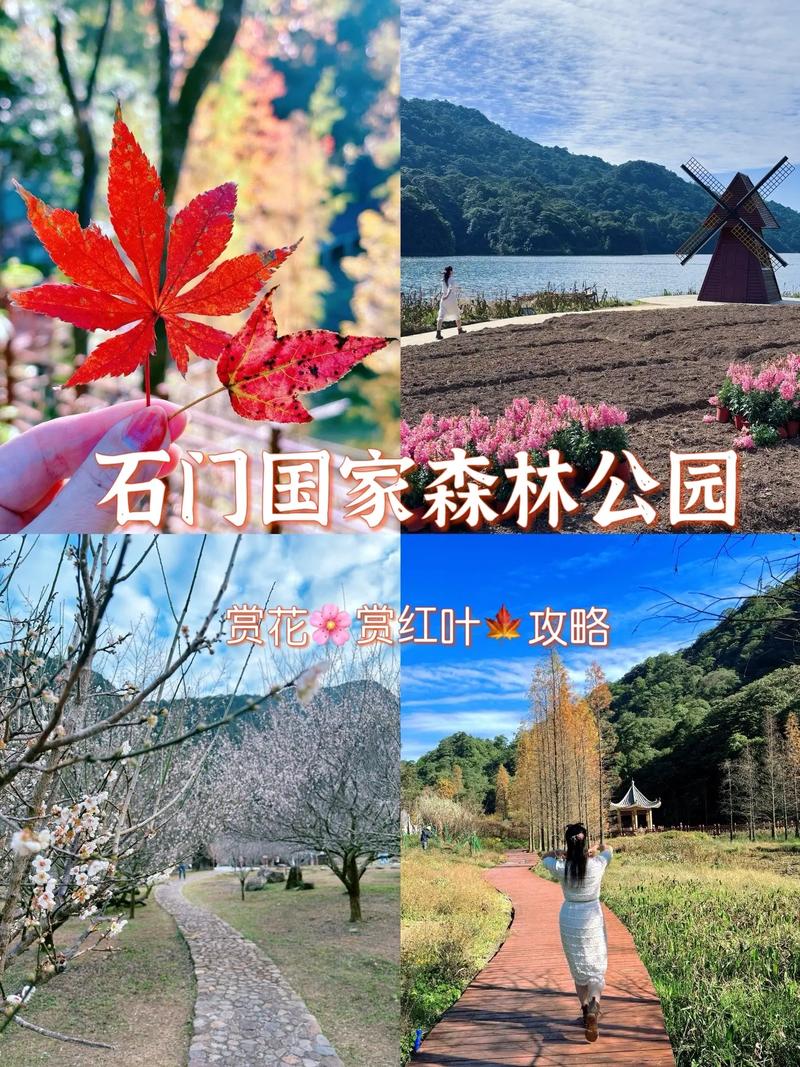 从化旅游景点排名,从化旅游推荐?-第3张图片-诗丽旅游网 从化旅游景点排名,从化旅游推荐?-第3张图片-诗丽旅游网