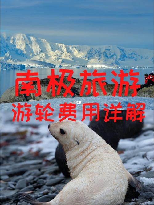 南极旅游攻略与线路分享,南极旅游线路选取攻略-第5张图片-诗丽旅游网 南极旅游攻略与线路分享,南极旅游线路选取攻略-第5张图片-诗丽旅游网