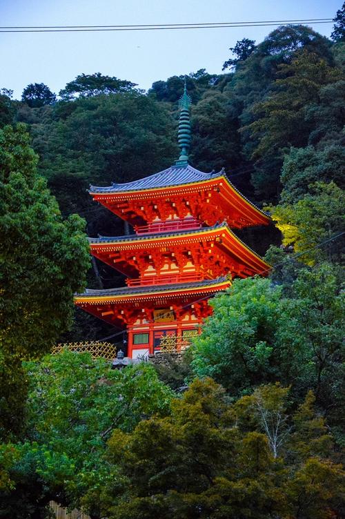 日本名古屋有哪些景点,日本名古屋景点推荐?-第2张图片-诗丽旅游网 日本名古屋有哪些景点,日本名古屋景点推荐?-第2张图片-诗丽旅游网