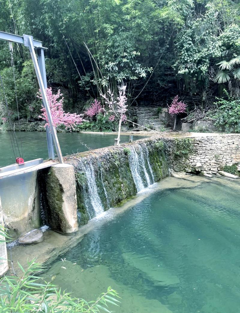 从重庆游三峡最佳路线自驾攻略,重庆自驾三峡沿途风景-第3张图片-诗丽旅游网 从重庆游三峡最佳路线自驾攻略,重庆自驾三峡沿途风景-第3张图片-诗丽旅游网