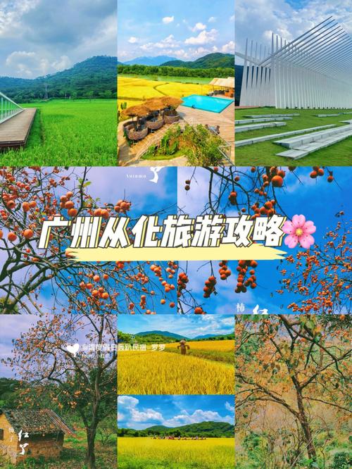 广州从化旅游景点大全自驾车旅游路线攻略?广州从化旅游景点大全自驾车旅游路线攻略图?-第1张图片-诗丽旅游网 广州从化旅游景点大全自驾车旅游路线攻略?广州从化旅游景点大全自驾车旅游路线攻略图?-第1张图片-诗丽旅游网