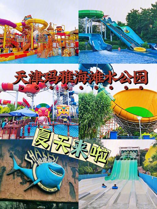 天津旅游景点大全海边一日游攻略,天津旅游攻略 必玩的景点海边-第4张图片-诗丽旅游网 天津旅游景点大全海边一日游攻略,天津旅游攻略 必玩的景点海边-第4张图片-诗丽旅游网