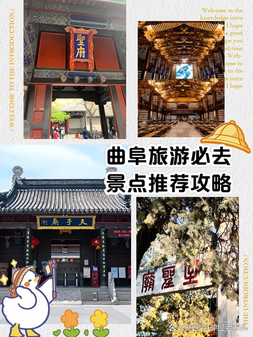 曲阜旅游攻略景点必去?曲阜旅游攻略景点必去免费?-第3张图片-诗丽旅游网 曲阜旅游攻略景点必去?曲阜旅游攻略景点必去免费?-第3张图片-诗丽旅游网