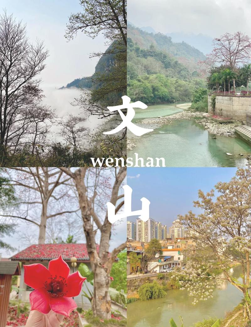 文山旅游路线攻略,文山旅游攻略景点必去?-第1张图片-诗丽旅游网 文山旅游路线攻略,文山旅游攻略景点必去?-第1张图片-诗丽旅游网