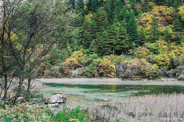 四川卧龙旅游景点介绍大全,四川卧龙好玩吗?-第1张图片-诗丽旅游网 四川卧龙旅游景点介绍大全,四川卧龙好玩吗?-第1张图片-诗丽旅游网