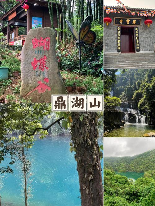 肇庆鼎湖山两日游攻略,肇庆鼎湖山一日游攻略?-第3张图片-诗丽旅游网 肇庆鼎湖山两日游攻略,肇庆鼎湖山一日游攻略?-第3张图片-诗丽旅游网