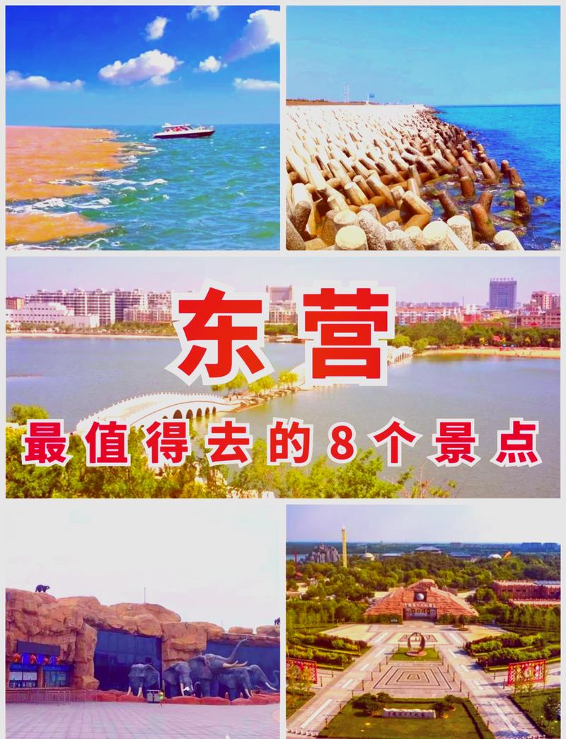 东营旅游攻略必玩的景点有哪些,东营旅游攻略必玩的景点有哪些呢-第3张图片-诗丽旅游网 东营旅游攻略必玩的景点有哪些,东营旅游攻略必玩的景点有哪些呢-第3张图片-诗丽旅游网