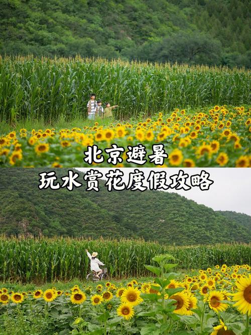 延庆旅游线路,延庆旅游攻略必去景点?-第1张图片-诗丽旅游网 延庆旅游线路,延庆旅游攻略必去景点?-第1张图片-诗丽旅游网