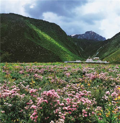 迪庆旅游景点攻略?迪庆 旅游?-第2张图片-诗丽旅游网 迪庆旅游景点攻略?迪庆 旅游?-第2张图片-诗丽旅游网