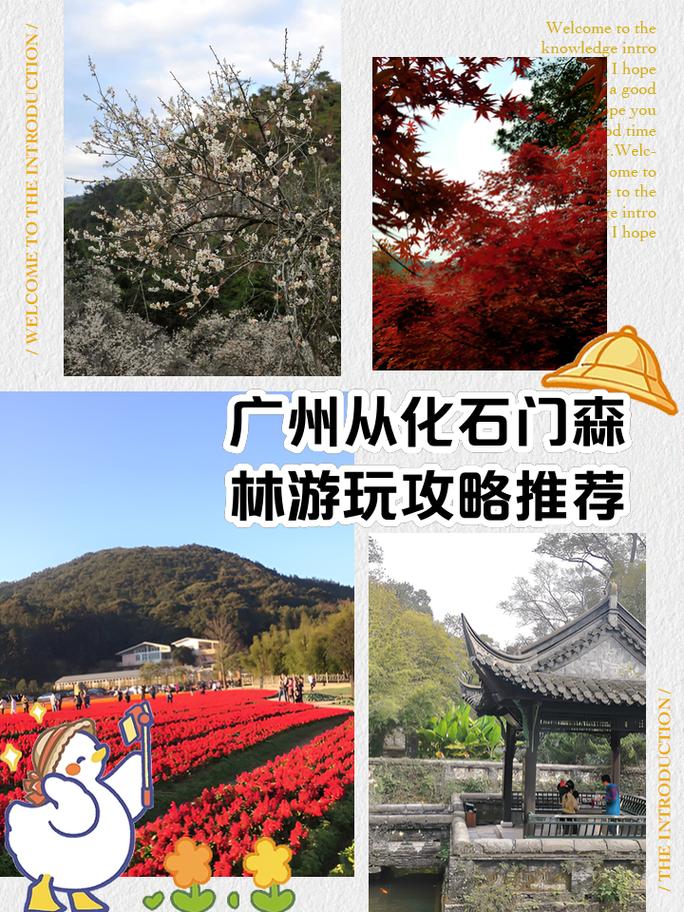 从化两日游攻略自由行,从化两日游攻略自由行?-第5张图片-诗丽旅游网 从化两日游攻略自由行,从化两日游攻略自由行?-第5张图片-诗丽旅游网