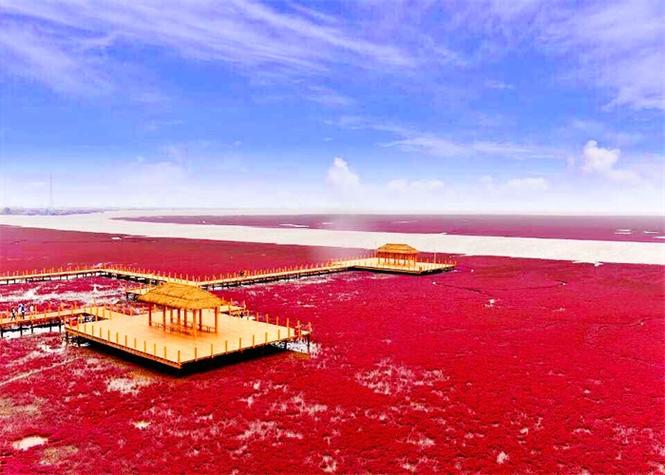 营口旅游景点大全排名红海滩?营口有红海滩吗?-第3张图片-诗丽旅游网 营口旅游景点大全排名红海滩?营口有红海滩吗?-第3张图片-诗丽旅游网
