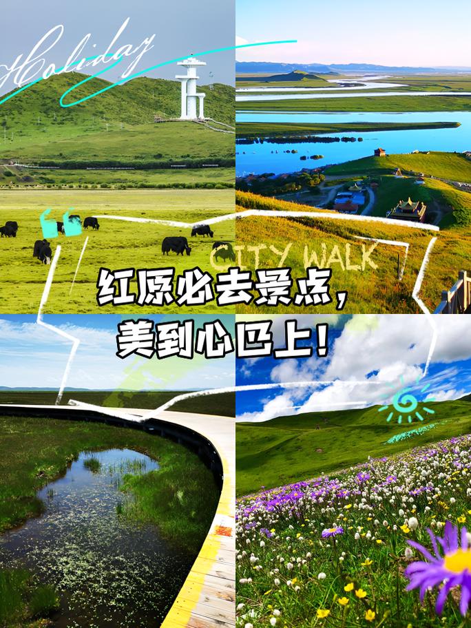红原必玩景点介绍词?红原必玩景点介绍词?-第2张图片-诗丽旅游网 红原必玩景点介绍词?红原必玩景点介绍词?-第2张图片-诗丽旅游网