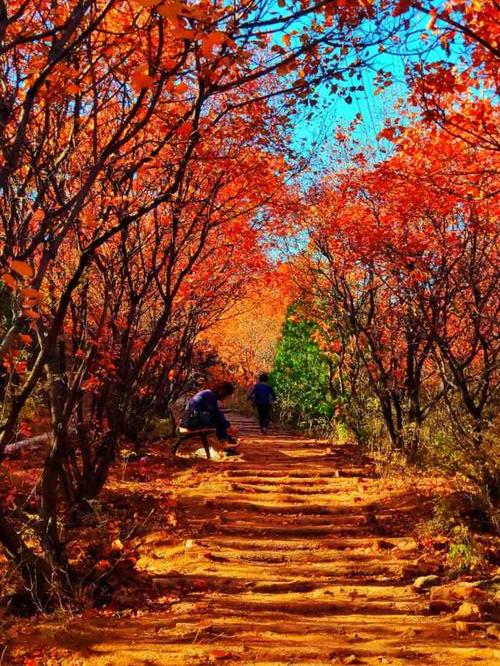 顺义旅游景点有哪些地方,顺义的旅游景点有哪些-第3张图片-诗丽旅游网 顺义旅游景点有哪些地方,顺义的旅游景点有哪些-第3张图片-诗丽旅游网
