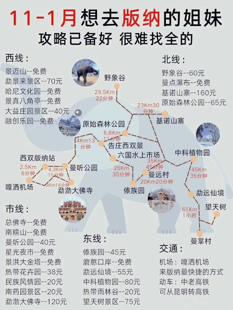版纳游玩路线,版纳游玩路线攻略-第4张图片-诗丽旅游网 版纳游玩路线,版纳游玩路线攻略-第4张图片-诗丽旅游网
