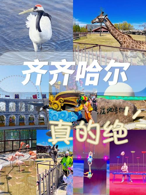 齐齐哈尔游玩景点大全攻略,齐齐哈尔游玩景点大全攻略一日游?-第4张图片-诗丽旅游网 齐齐哈尔游玩景点大全攻略,齐齐哈尔游玩景点大全攻略一日游?-第4张图片-诗丽旅游网