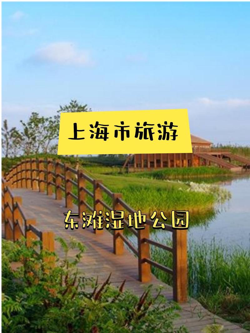 崇明岛2日游攻略?崇明岛二日游攻略?-第1张图片-诗丽旅游网 崇明岛2日游攻略?崇明岛二日游攻略?-第1张图片-诗丽旅游网