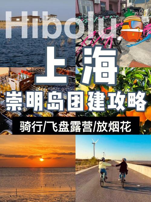 崇明岛2日游攻略?崇明岛二日游攻略?-第2张图片-诗丽旅游网 崇明岛2日游攻略?崇明岛二日游攻略?-第2张图片-诗丽旅游网