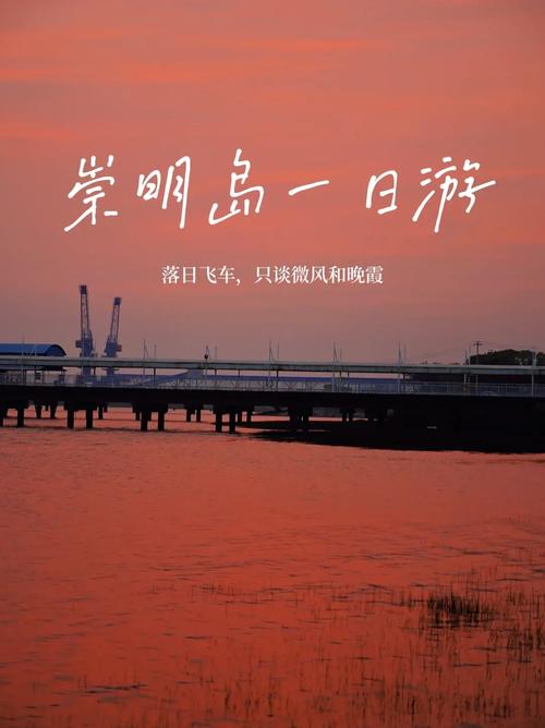 崇明岛2日游攻略?崇明岛二日游攻略?-第3张图片-诗丽旅游网 崇明岛2日游攻略?崇明岛二日游攻略?-第3张图片-诗丽旅游网