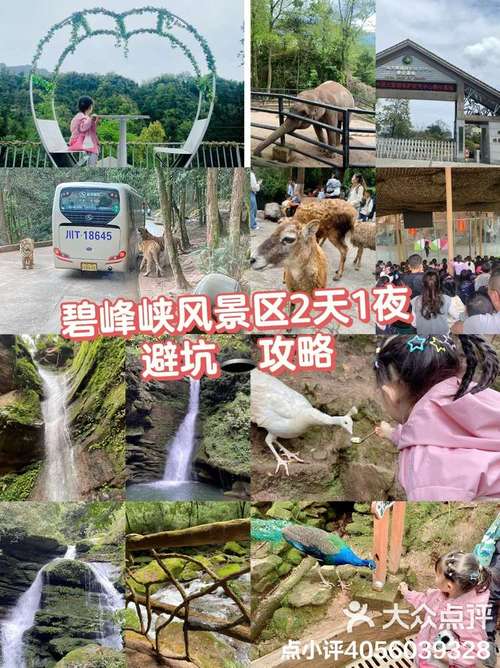 雅安旅游攻略二日游,雅安旅游攻略一日游-第4张图片-诗丽旅游网 雅安旅游攻略二日游,雅安旅游攻略一日游-第4张图片-诗丽旅游网