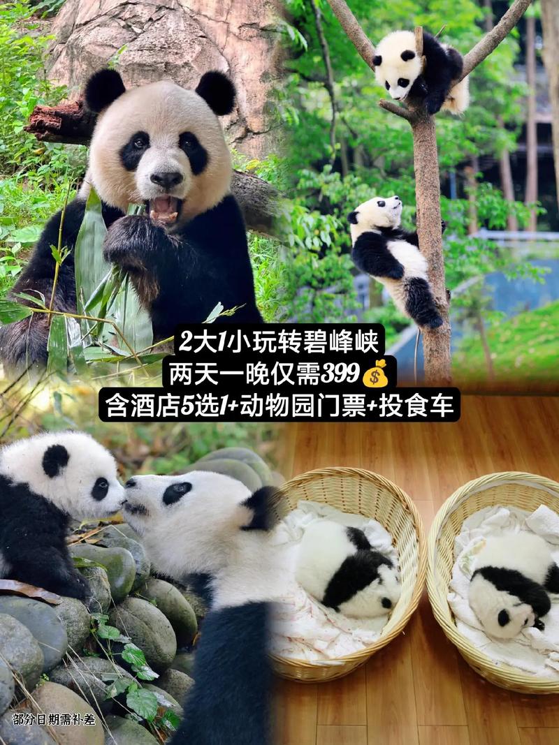 碧峰峡旅游线路攻略最新?碧峰峡1日游攻略?-第2张图片-诗丽旅游网 碧峰峡旅游线路攻略最新?碧峰峡1日游攻略?-第2张图片-诗丽旅游网