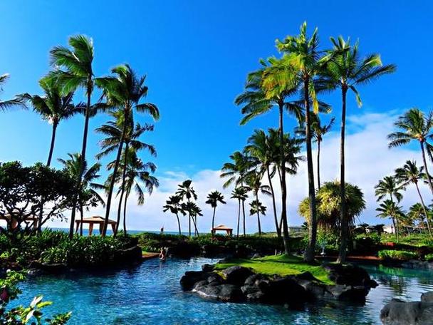 夏威夷旅游攻略10天自由行?夏威夷最佳旅游路线?-第3张图片-诗丽旅游网 夏威夷旅游攻略10天自由行?夏威夷最佳旅游路线?-第3张图片-诗丽旅游网