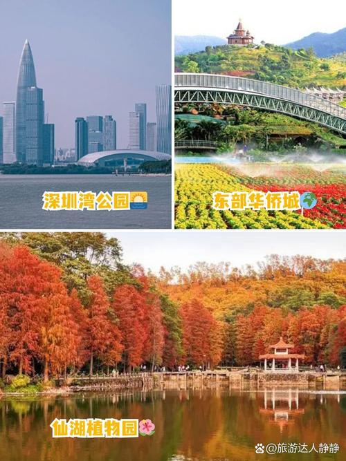 深圳2020旅游攻略景点推荐?深圳2020旅游攻略景点推荐图片?-第3张图片-诗丽旅游网 深圳2020旅游攻略景点推荐?深圳2020旅游攻略景点推荐图片?-第3张图片-诗丽旅游网