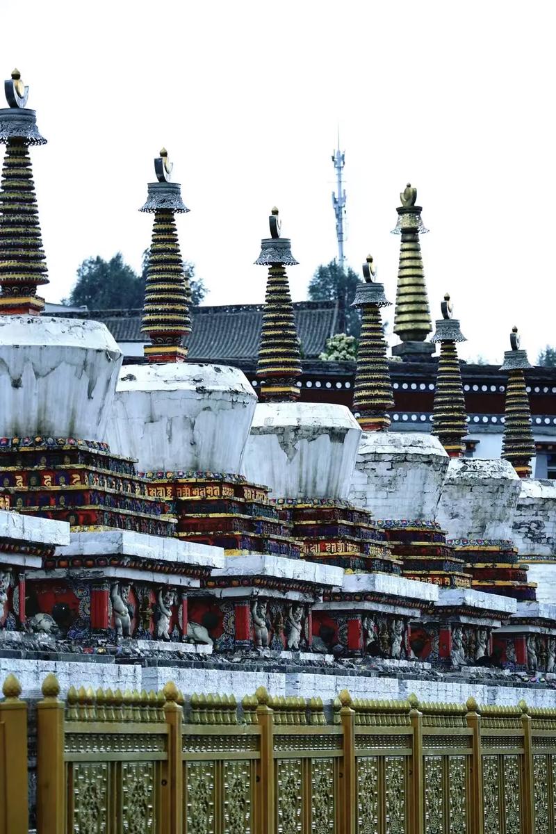 博尔塔拉旅游景点有哪些地方可以玩，博尔塔拉前十景点？-第1张图片-诗丽旅游网