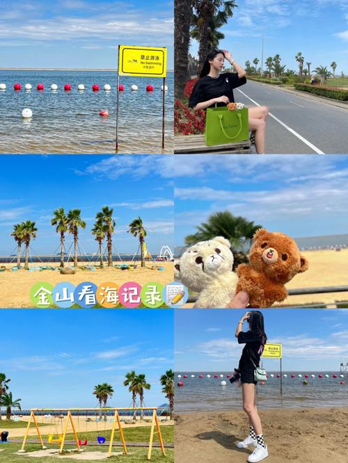 上海金山旅游攻略一日游路线,上海金山一日游最佳路线图?-第3张图片-诗丽旅游网 上海金山旅游攻略一日游路线,上海金山一日游最佳路线图?-第3张图片-诗丽旅游网