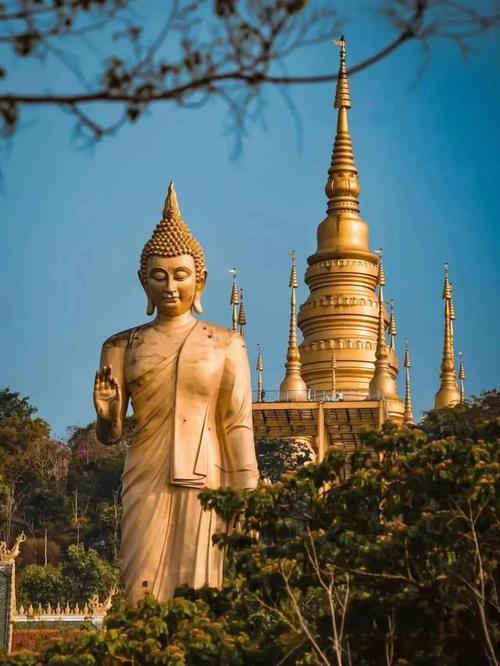 西双版纳旅游攻略必去景点门票费用,西双版纳旅游景点攻略自由行?-第3张图片-诗丽旅游网 西双版纳旅游攻略必去景点门票费用,西双版纳旅游景点攻略自由行?-第3张图片-诗丽旅游网