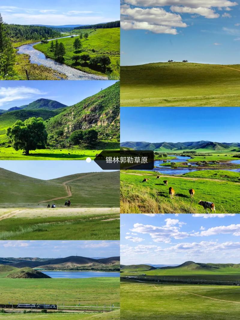 锡林郭勒旅游景点攻略一日游路线,锡林郭勒旅游景点攻略一日游路线推荐-第4张图片-诗丽旅游网 锡林郭勒旅游景点攻略一日游路线,锡林郭勒旅游景点攻略一日游路线推荐-第4张图片-诗丽旅游网