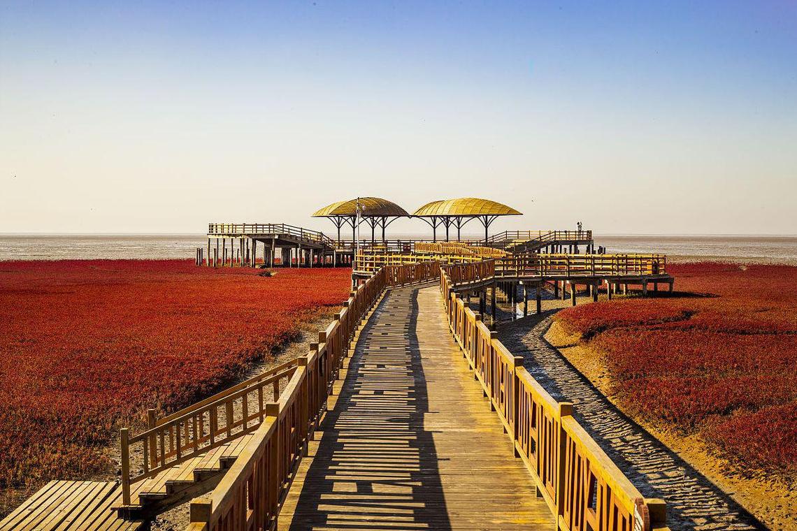 东营有哪些旅游景点,东营旅游-第1张图片-诗丽旅游网 东营有哪些旅游景点,东营旅游-第1张图片-诗丽旅游网