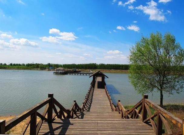 东营有哪些旅游景点,东营旅游-第4张图片-诗丽旅游网 东营有哪些旅游景点,东营旅游-第4张图片-诗丽旅游网